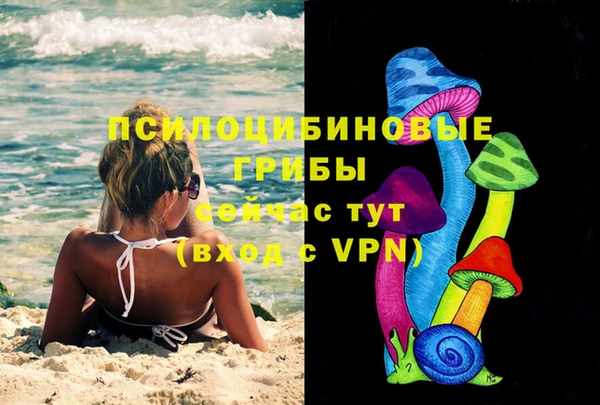 стафф Краснотурьинск