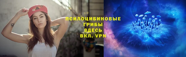 МДПВ Краснослободск