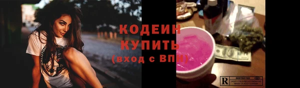 МДПВ Краснослободск