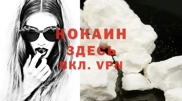 МДПВ Краснослободск